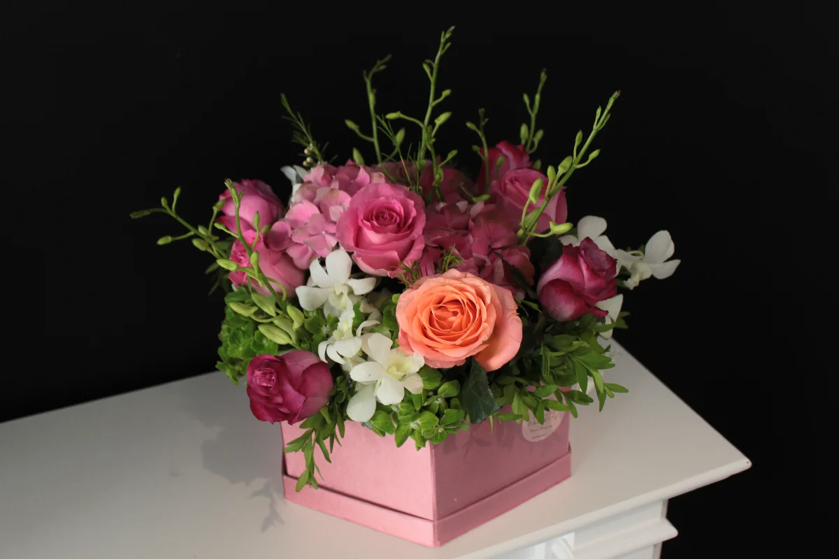 Cel mai jmecher pachet