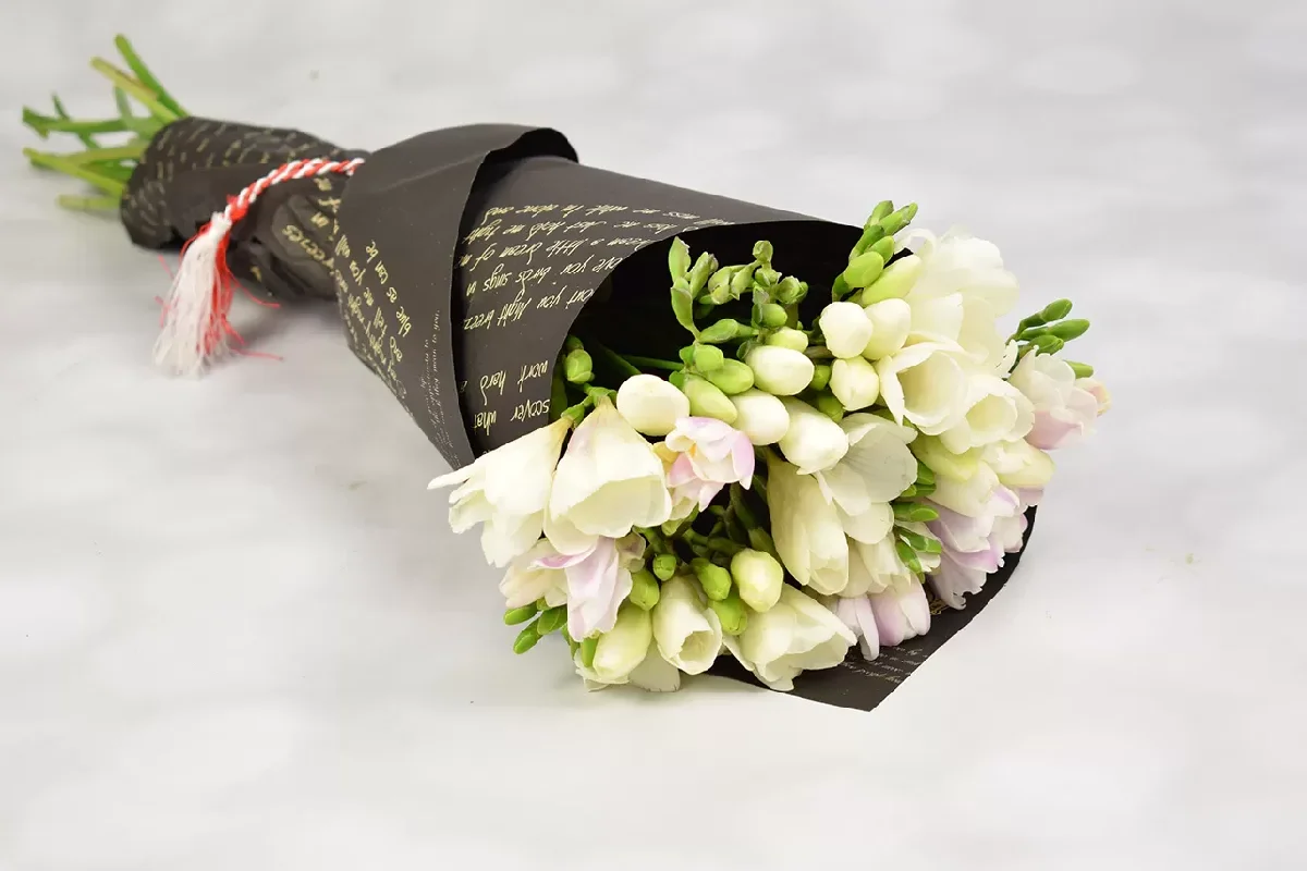 Frezii cu snur de martisor