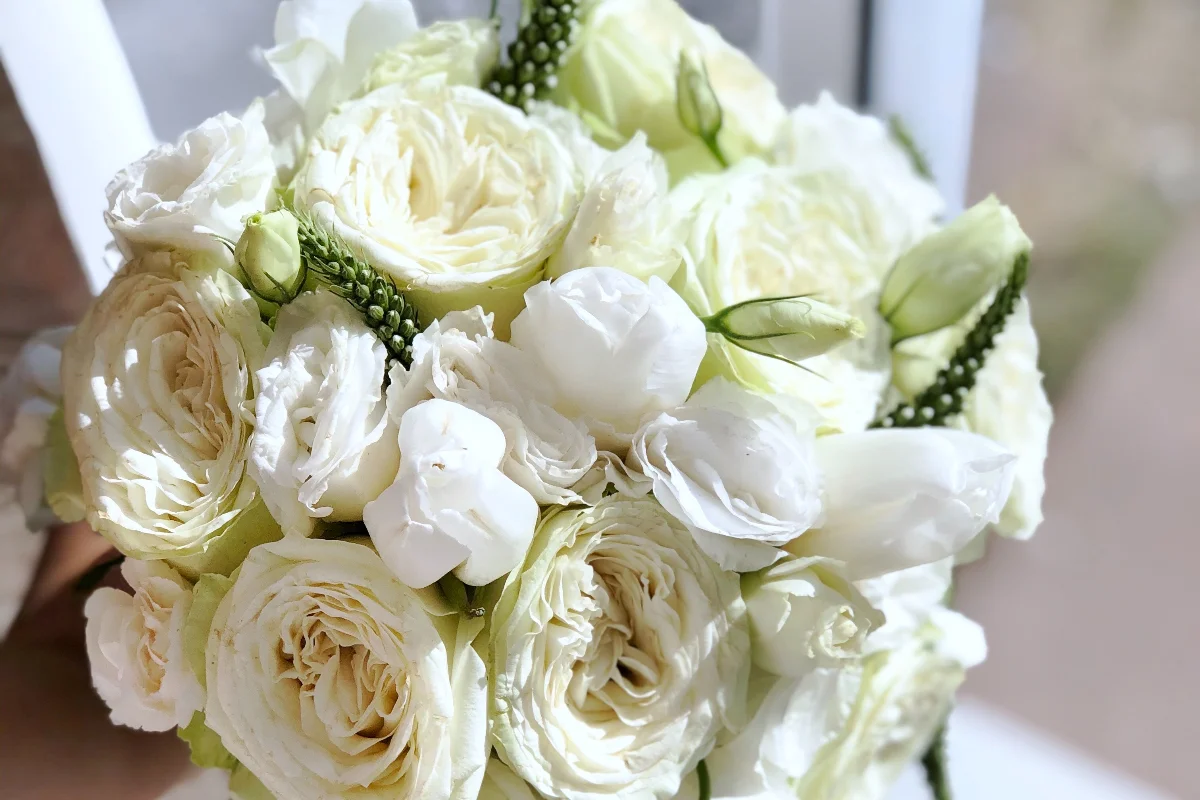 Impressum Magnum Ossuoma