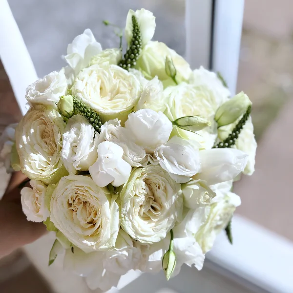 Impressum Magnum Ossuoma