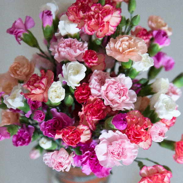 Pachet complet cu de toate