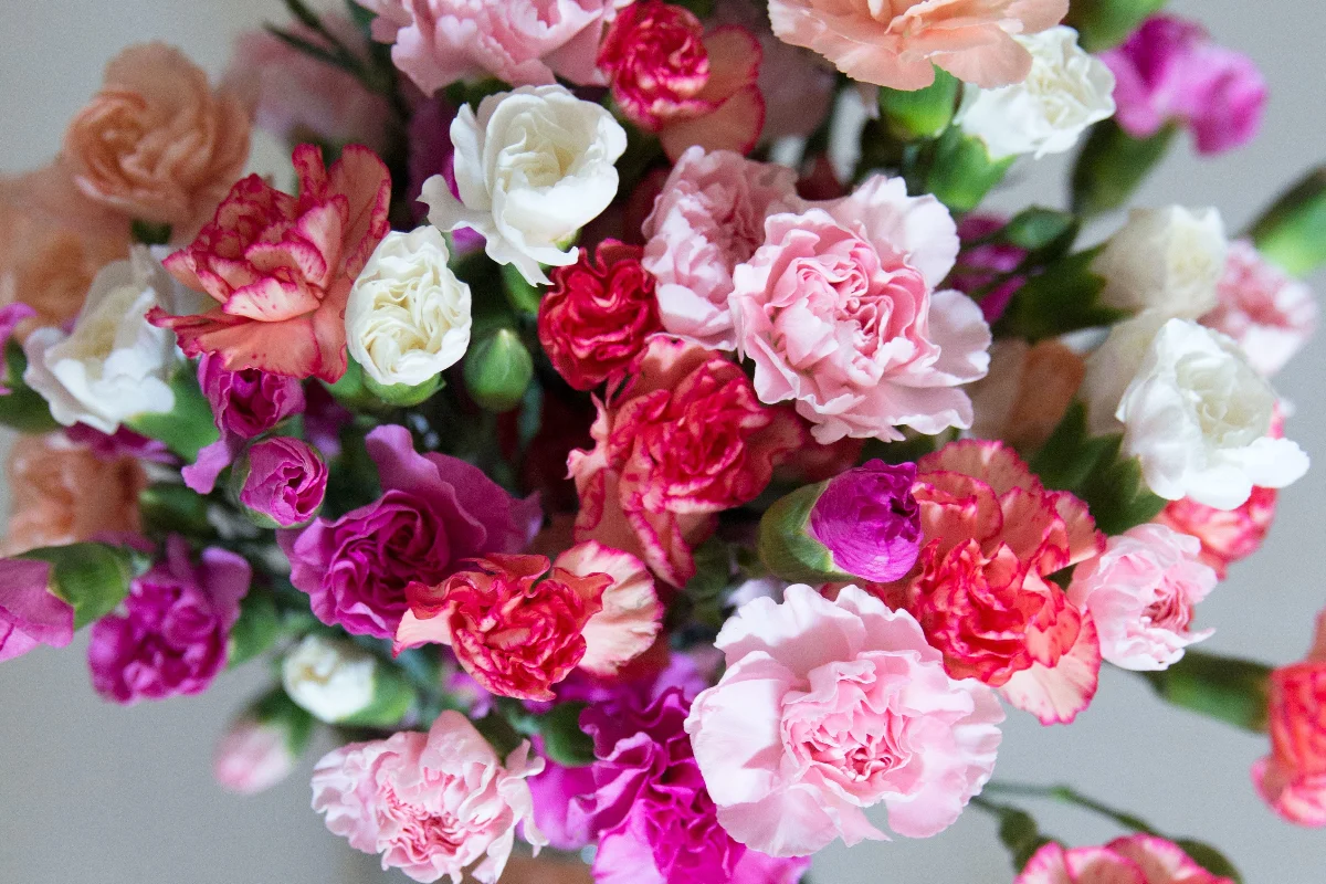 Pachet complet cu de toate